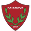 Hatay Defnespor (W) logo