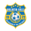 Bolintin Vale logo