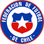 Chile Women U20 logo