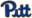 Pittsburgh Panthers (w) logo