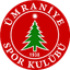 Umraniyespor logo