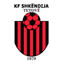 Shkendija U19 logo