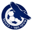 Ironi Nesher logo