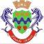 AJN Larache (w) logo