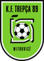 KF Trepca 89 U19 logo