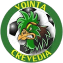 Vointa 2024 Crevedia logo - Crevedia VS Cso Baicoi Sport