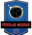 Campo Grande AC U20 logo