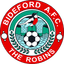 Bideford AFC logo