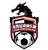 Nanjing Longsheng logo - Cmcl 33263 Football