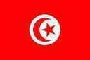 Tunisia U23 logo - U VS Tunisia U Live