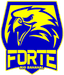 Forte Rio Bananal logo