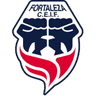Fortaleza F.C logo