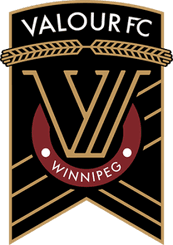Valour logo