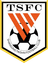 Shandong Taishan U15 logo