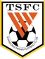Shandong Taishan U15 logo