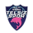 Telsizspor Women logo