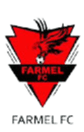 Farmel FC logo - Fc VS Persipa Pati Score