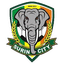 Surin City FC logo