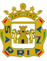 Sarriana logo