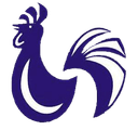 Club Gallos Viejos logo - Car VS Club Gallos Viejos Live Score Today