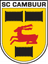 Cambuur Leeuwarden U19 logo