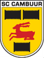 Cambuur Leeuwarden U19 logo