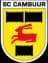 SC Cambuur Leeuwarden logo