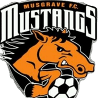 Musgrave Reserves logo - Reserves VS Kingscliff Fc Reserves Live Score