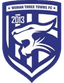 Wuhan Three Towns B logo