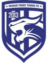 Wuhan Three Towns B logo