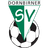 Dornbirner SV logo