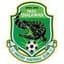 Phichit FC logo