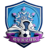Harbin Team logo