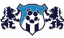 FC Arad logo
