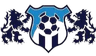 FC Arad logo