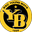 Young Boys U19 logo