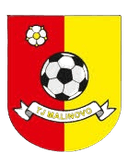 TJ Malinovo logo - Malinovo VS Fc Artmedia Petrzalka Live Score Today