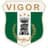 Vigor Lamezia logo - Ita Serie C 31875 Football Result