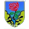 ASD Seravezza Calcio logo