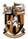 Folkestone logo