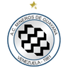 Mineros de Guayana logo