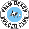 Palm Beach logo - Beach VS Kingscliff Fc Live Score