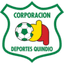 Deportes Quindio U19 logo