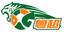 Dongguan Team logo