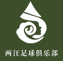 Liangwang Football Team logo - Village VS Phoenix Village Live Score