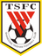 Shandong Taishan U20 logo - Chinese U League 33815 Results