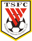 Shandong Taishan U20 logo