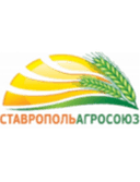 Nevinnomyssk logo - Vladikavkaz VS Nevinnomyssk Result