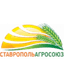 Nevinnomyssk logo