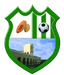 Deportivo Patulul logo